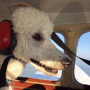 Meet your Posher, Elena